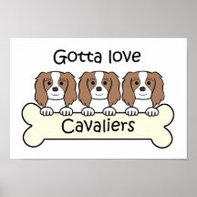 Three Cavalier King Charles Spaniels Posters