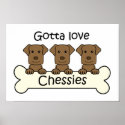 Three Chesapeake Bay Retrievers posters