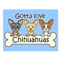 Three Chihuahuas Post Card