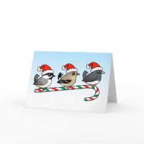 Three Christmas Songbirds (US) Greeting Cards
