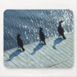 Three Cormorants mousepads