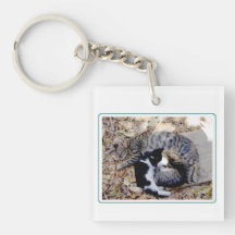 Three Cute Cats Curled Up Asleep Acrylic Keychain