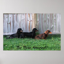 Three Dachshunds Print