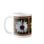 Three Daisies 01 mugs