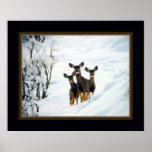 Three Deer posters