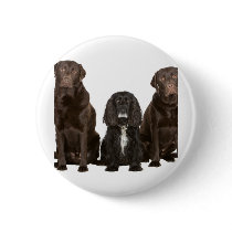 Three Doggy Friends Pins