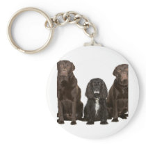 Three Doggy Friends Keychain