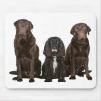 Three Doggy Friends Mouse Pad
