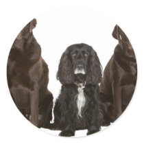 Three Doggy Friends Round Sticker