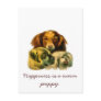 Three Dogs Postcard