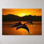 Three dolphins at sunset print
