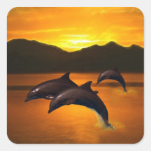 Three dolphins at sunset stickers