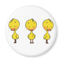 Three ducks magnet