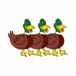Three Ducks photo sculptures