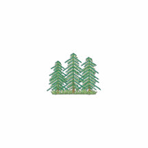 Three Evergreens