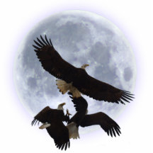 THREE FIGHTING BALD EAGLES Sculpted Gift Photo Sculpture