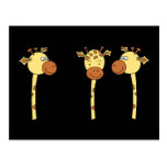 Three Giraffes Cartoon. Post Card