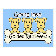 Three Golden Retrievers Postcards