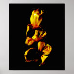 Three Golden Shiny Tulips Print
