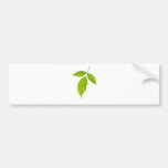 Three green leaves bumper sticker