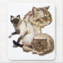 Three Grey and Golden Brown Pet Cats Sketched.