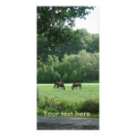 Three Horses Photo Greeting Card