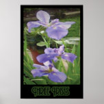 "Three Irises" - Print