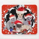 Three Kittens and a Pug Xmas gifts mousepads