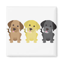 Three Labrador Retrievers Magnet