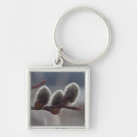 Three Little Catkins Key Chains