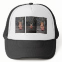 "Three Little Pigs" hat by Cyril Helnwein