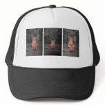 "Three Little Pigs" hat by Cyril Helnwein