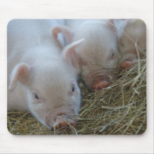 Three Little Pigs Mousepads