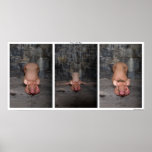 "Three Little Pigs" poster by Cyril Helnwein posters