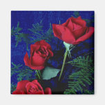 Three Long-Stemmed Red Roses And Ferns flowers Refrigerator Magnets