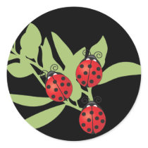 Three Lucky Ladybugs
