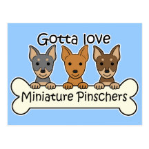 Three Miniature Pinschers Post Cards