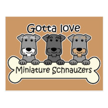 Three Miniature Schnauzers Post Card