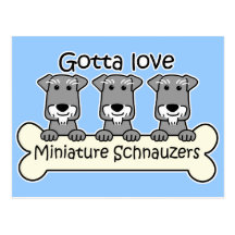 Three Miniature Schnauzers Postcards