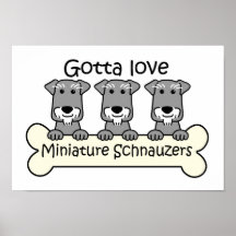 Three Miniature Schnauzers Poster