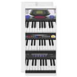 Three Modern Keyboards: Synthesizers: rack cards