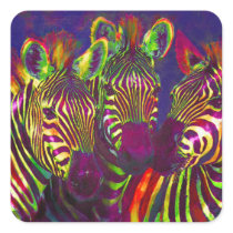 three neon zebras square stickers
