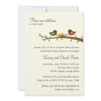 Three New Eggs Twins Baby Shower Invitation