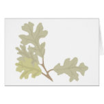 Three Oak Leaves Cards