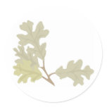Three Oak Leaves