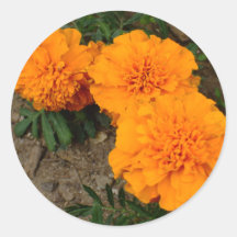 Three Orange Marigolds Design Stickers