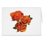 Three Orange Roses Card