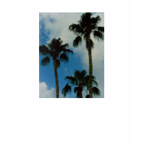 Three Palms Tshirt