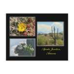 three photos from Apache Junction Arizona postcard