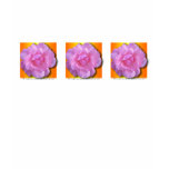 Three pink roses t-shirt